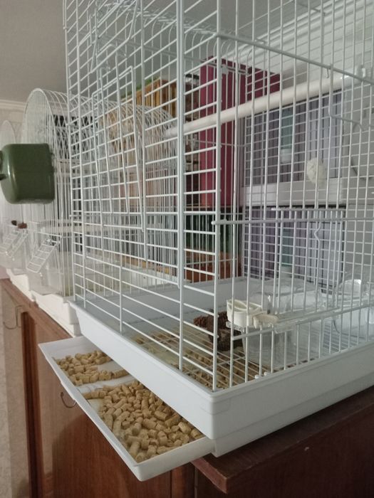 Клетка для декоративных птиц.