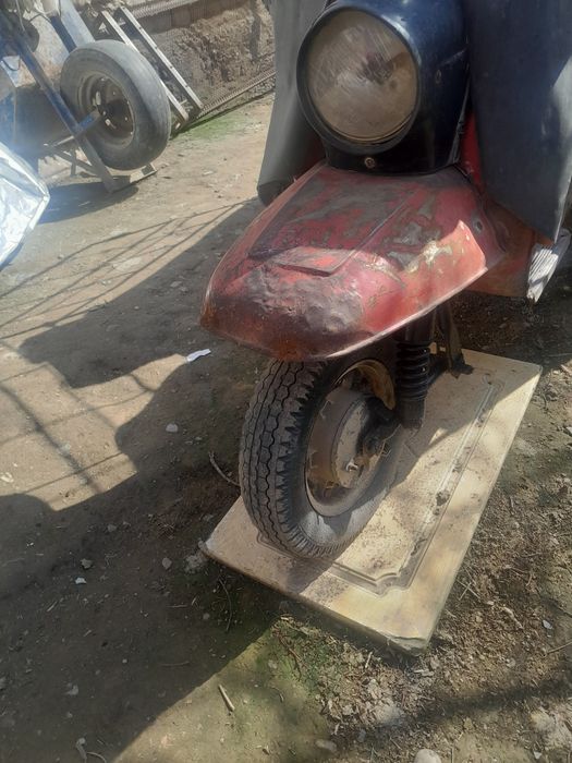 Muraviy zavod buladi yuradi bittada zavod buladi