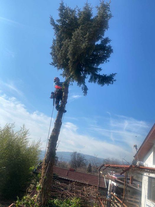 Арборист - Стара Загора