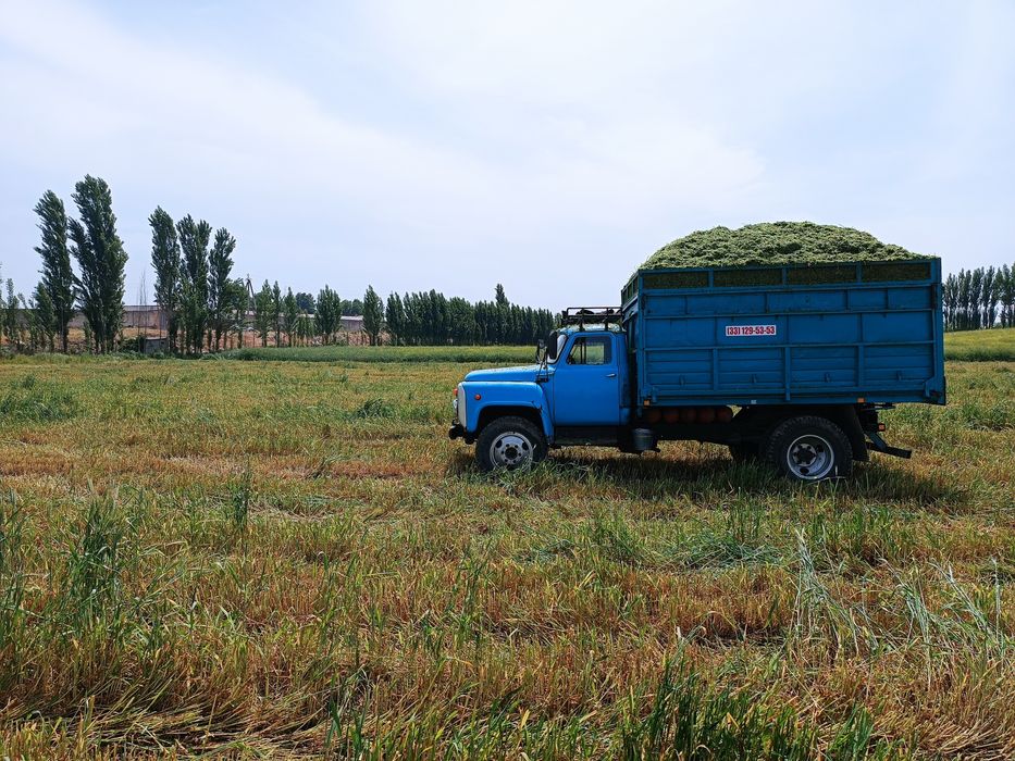 Расхоти йук малумотлар телда