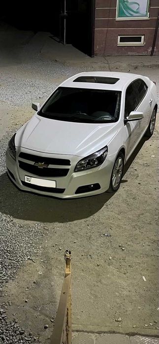 Malibu-1  3 pozitsia Белый Жемчуг