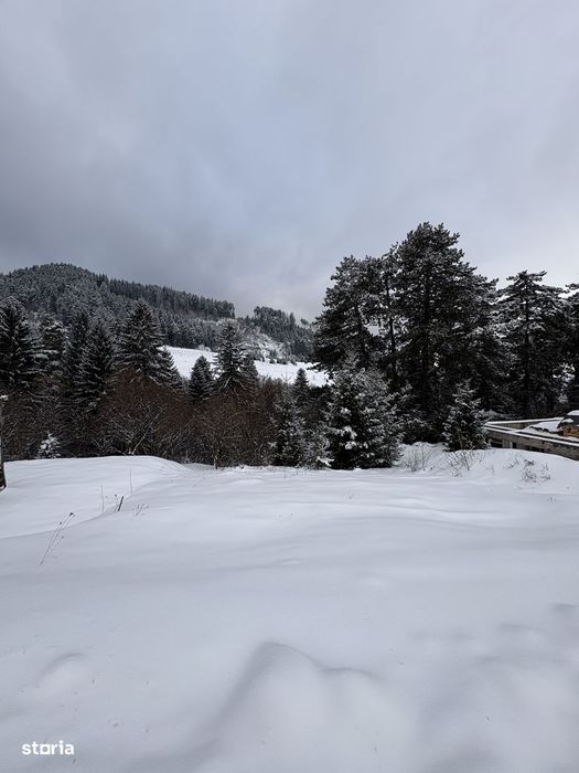 Teren de vanzare Sacele