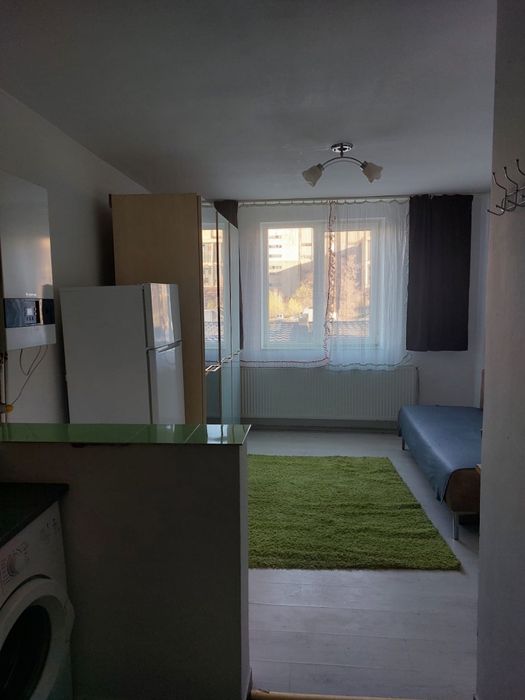 Dau in chirie garsoniera pe Borsului