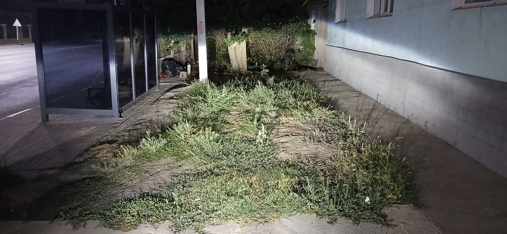 Фара Опель вектра б рестайлинг