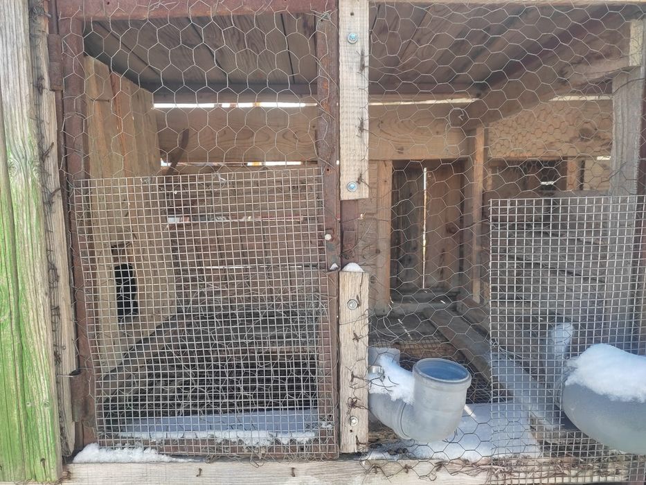 Cuști iepuri  schelet metalic