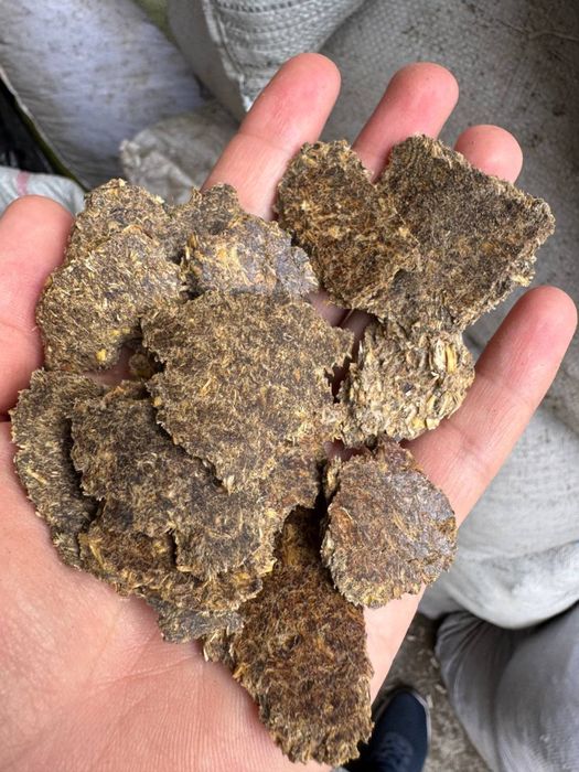 Hamyonbop yem mahsuloti