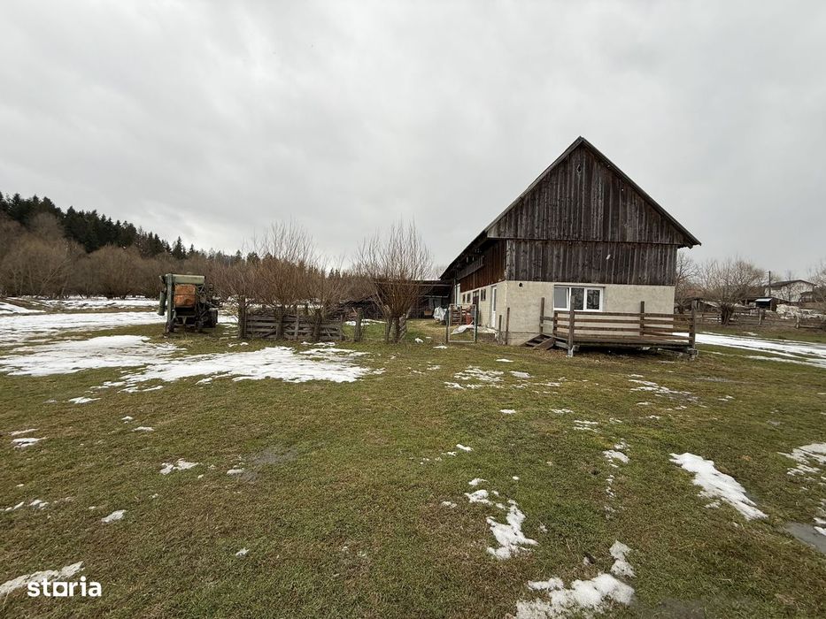 Teren extravilan | Horodnic De Sus | 3600MP