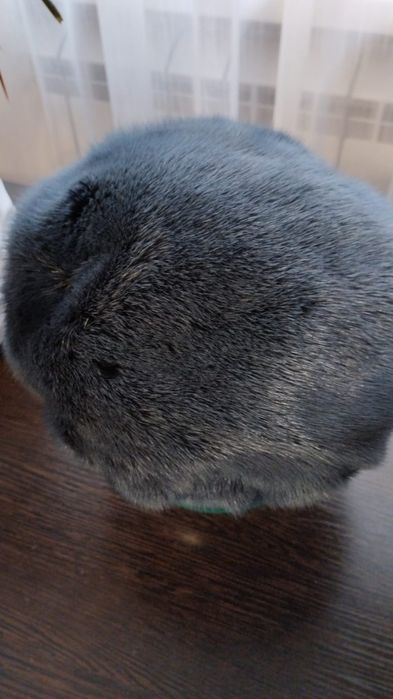 Продаю шапки норковые