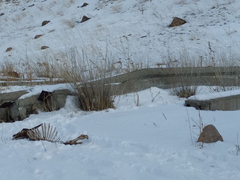 Продам ригеля стойки стеновые понели