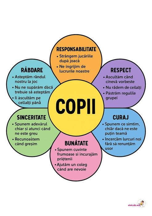 Planșe didactice