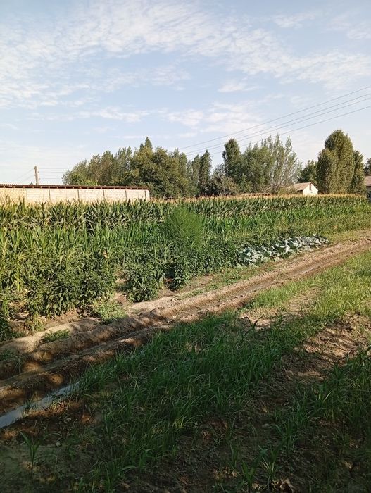 Srochno 10 sotix yer uchastkasi sotiladi