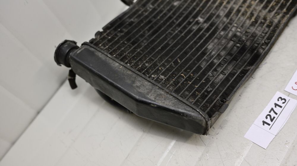 Radiator Apa Honda CBR 929 2000 - 2001