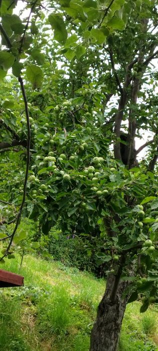 Продам дачу, в районе Каменское плато