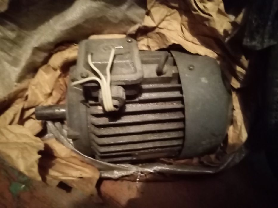 Электромоторы тоех и двухфазные.