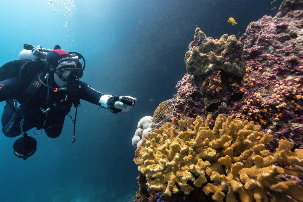 Vand/Schimb PARALENZ Vaquita Underwater 4K Camera,350 metri adancime.