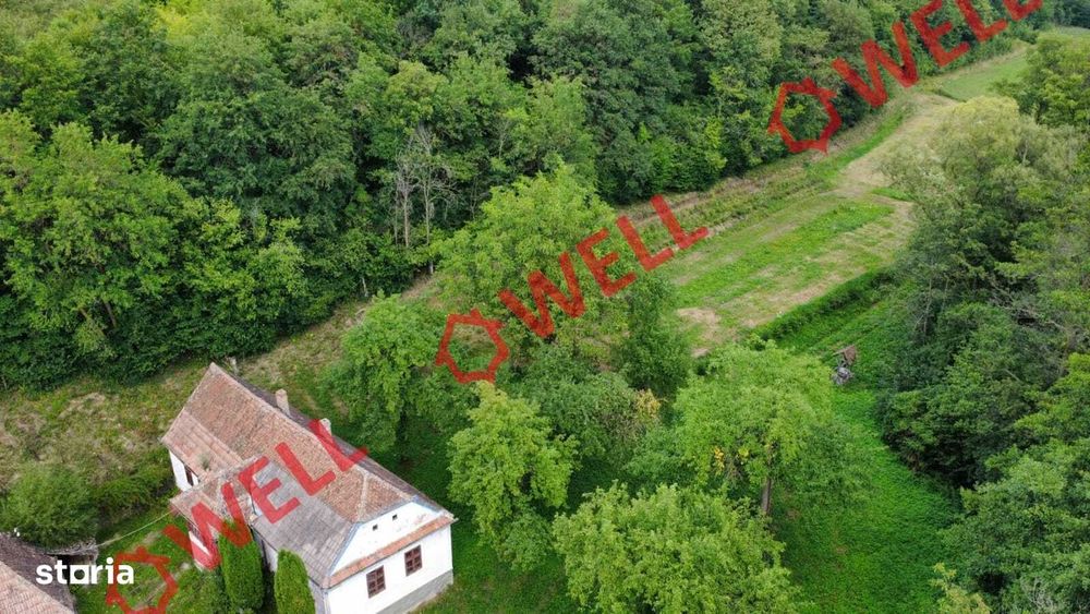 De vânzare proprietate de familie în Belin-Vale