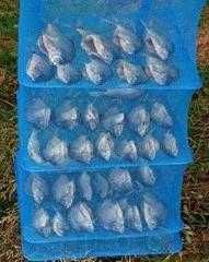 Мрежа за сушене на риба, гъби, плодове и зеленчуци, 50х50х100 см