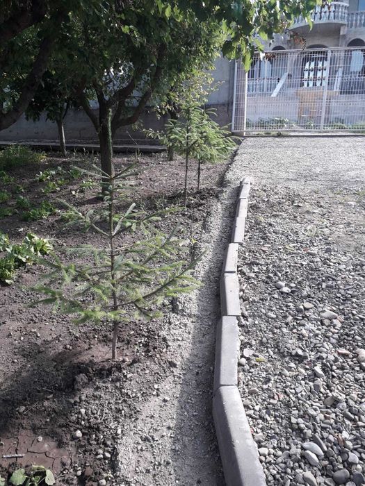 Vând proprietate cu teren 2000mp și construcție 46mp²