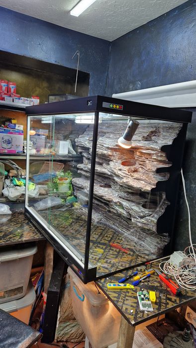 Террариум для рептилий