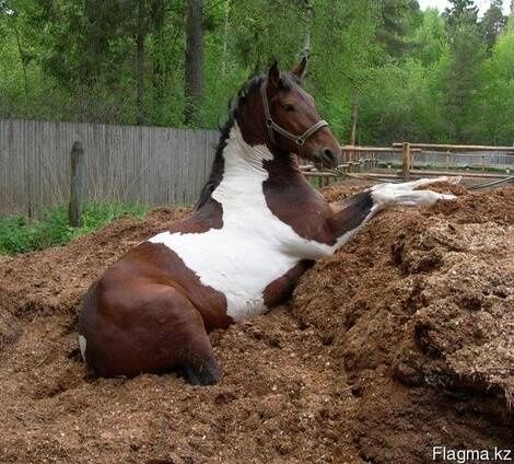 Навоз . Доставка Уаз.