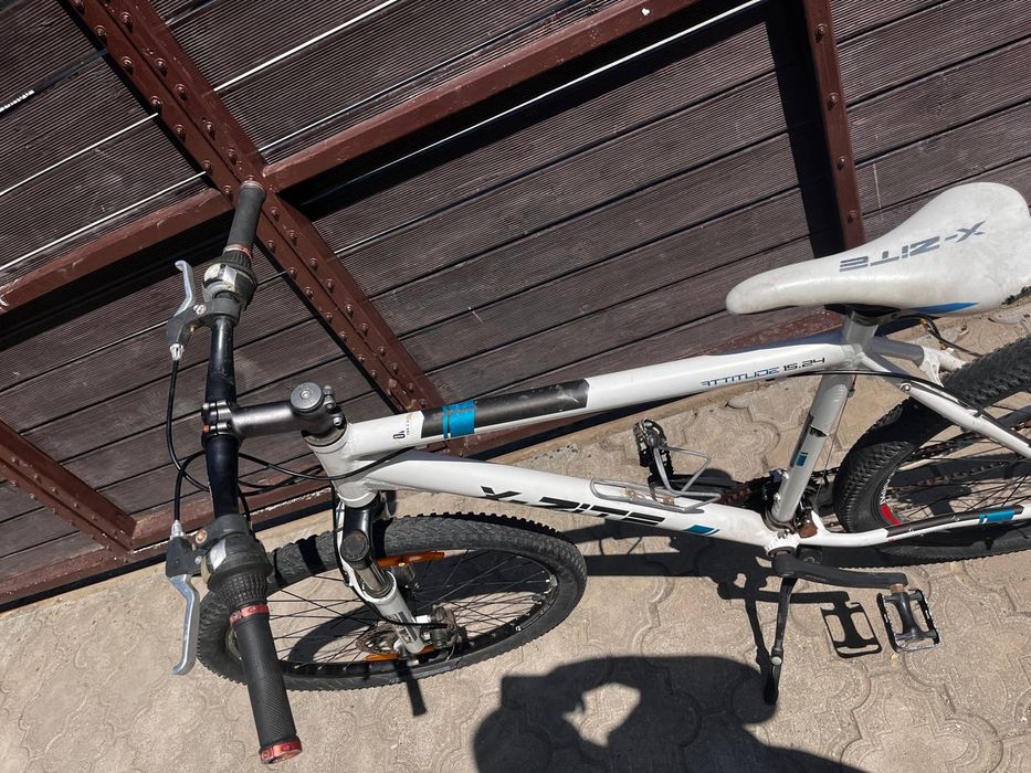 Bicicleta adulti