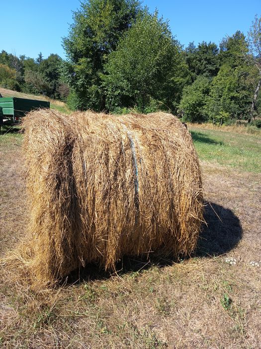 Baloți rotunzi de fân !