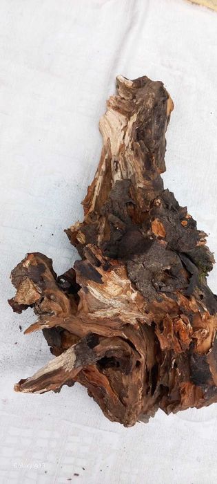 Декорация за терариум