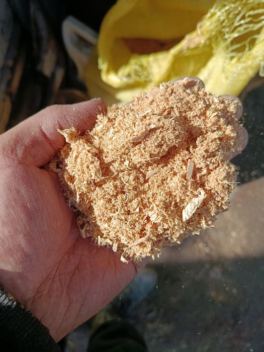 Apilka sotiladi plaramaniki