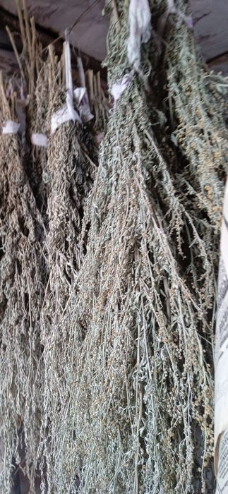 Полынь пижма зверобой.