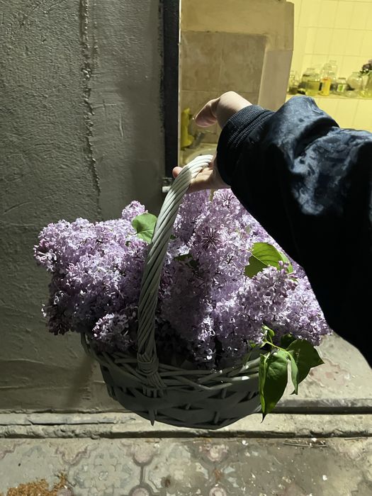 Сирень букет корзина 10к