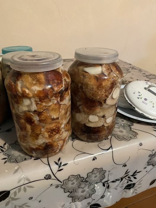 Продам поттопольники