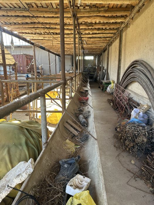 Mol boqish uchun Oxirlar Sotiladi