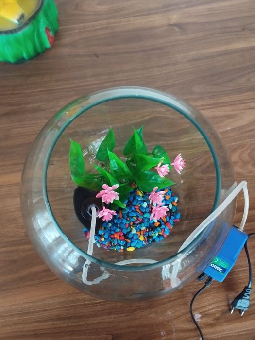 Аквариум круглый 10 литр