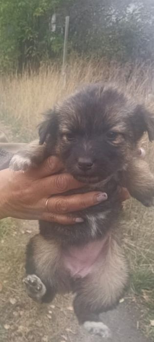Девчонки и мальчишки ждут своих родителей.!