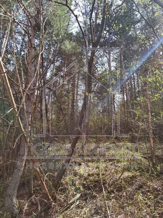 Продава се Парцел в с. Гълъбово, Област Пловдив - 2107 кв.м за 42 €/кв.м - Снимка #2