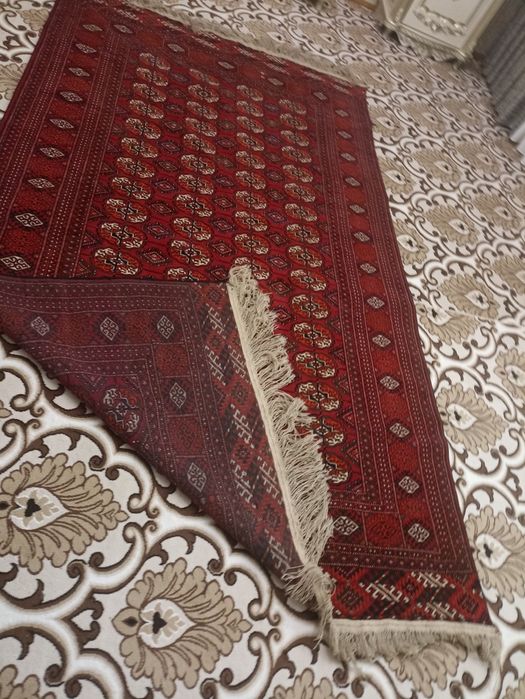 Кавёр Туркменский