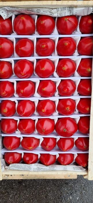 Доставка овощи фрукты