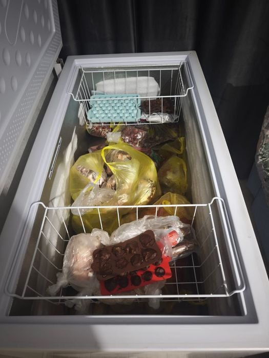 Морозильная камера