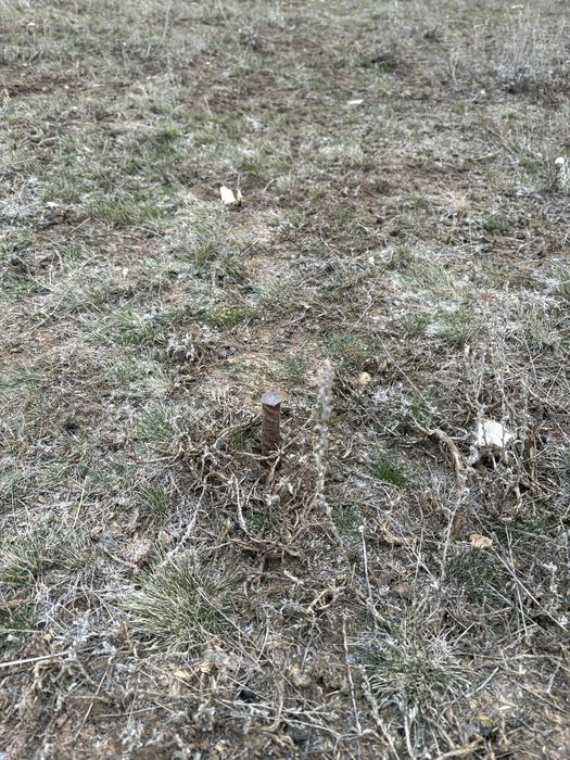 Продам участок в п.Достық (РТС)