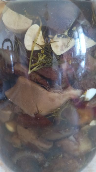 Грибы вкусные  2 литра / 2025 г.