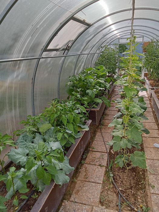 Теплица 9 на 3 срочно бу