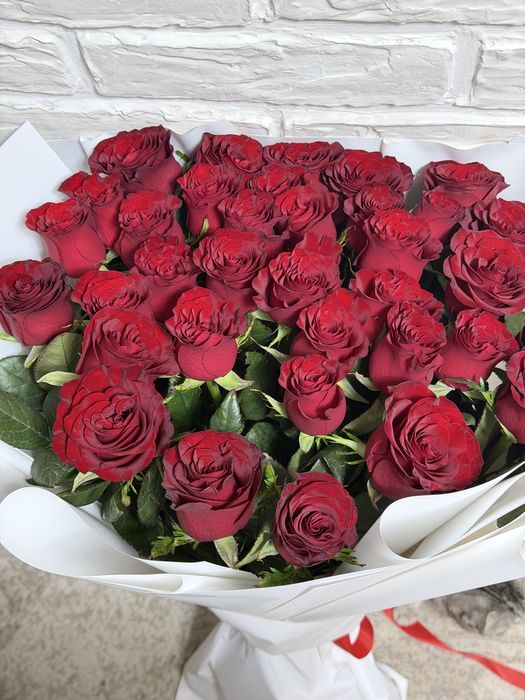 Розы красные Метровые