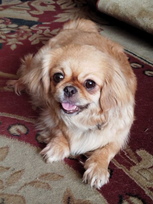 Невеста ищет достойного жениха