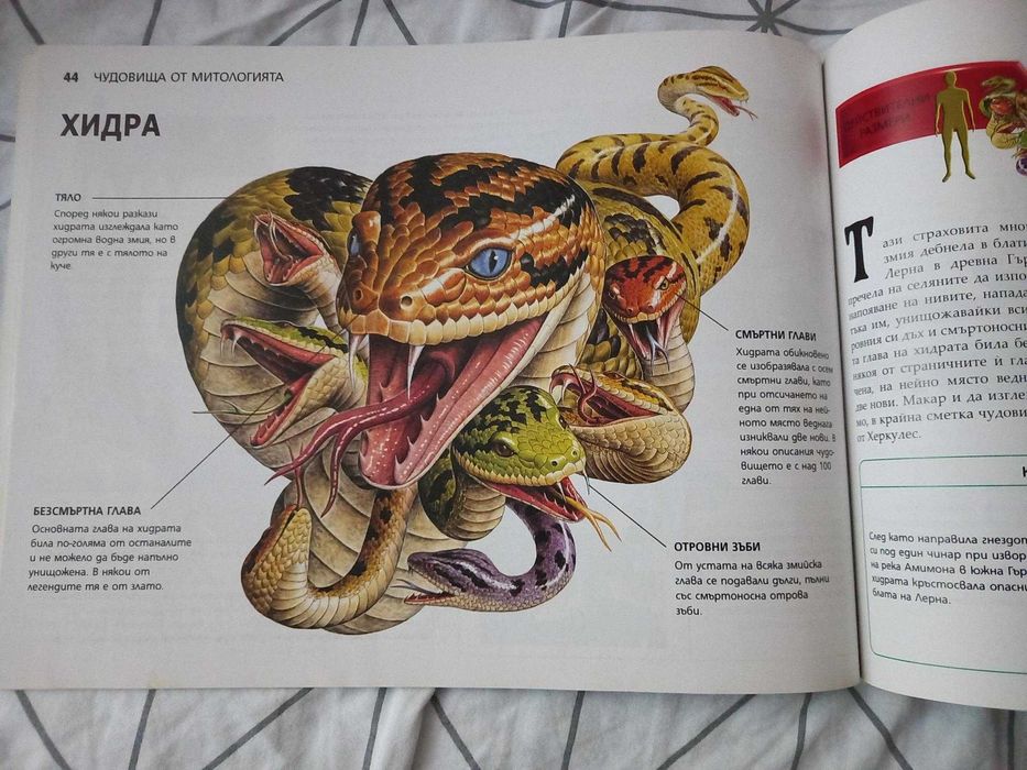Митически чудовища. Най страховитите създания.