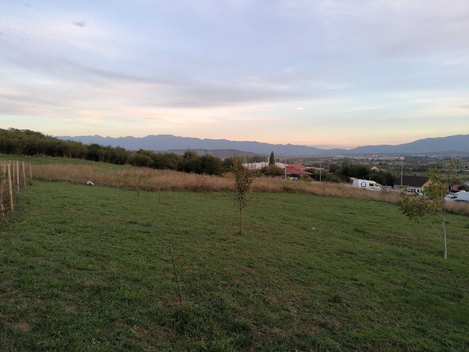 Teren construcţii strada Măceşului