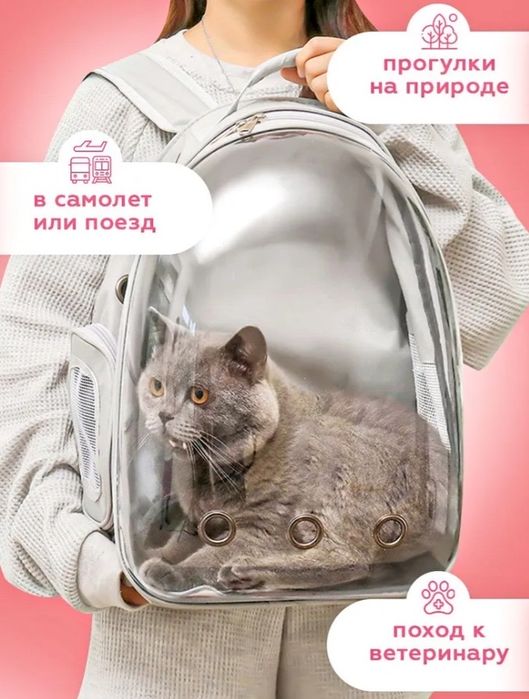 Рюкзак-переноска для домашних питомцев