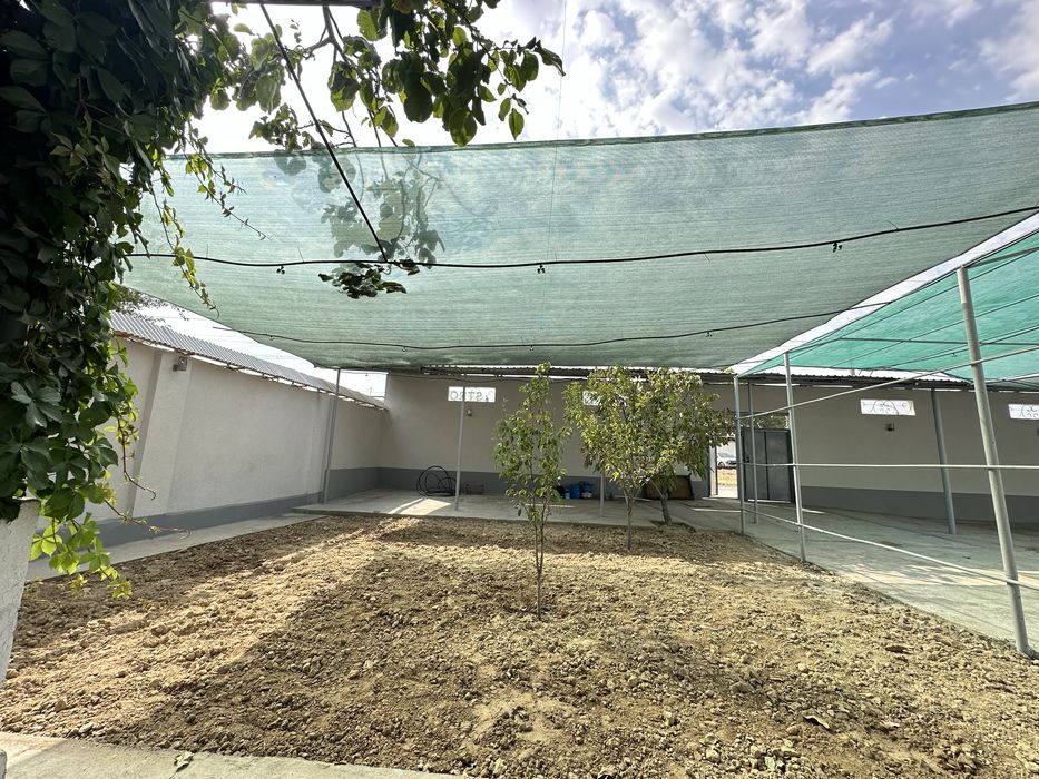 Чирчиқда ховли сотилади ( Чирчик Chirchiq xovli )