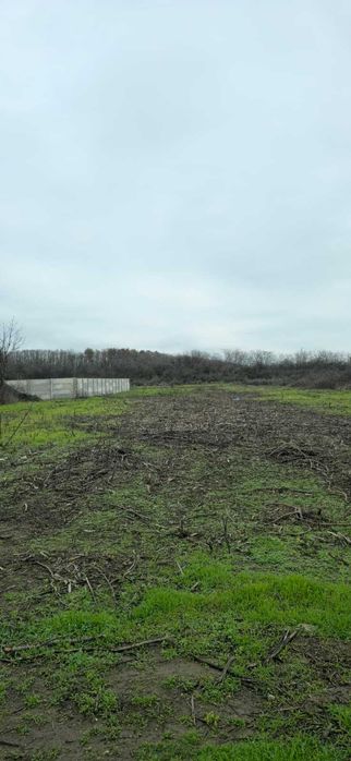 Teren Intravilan Pelendava