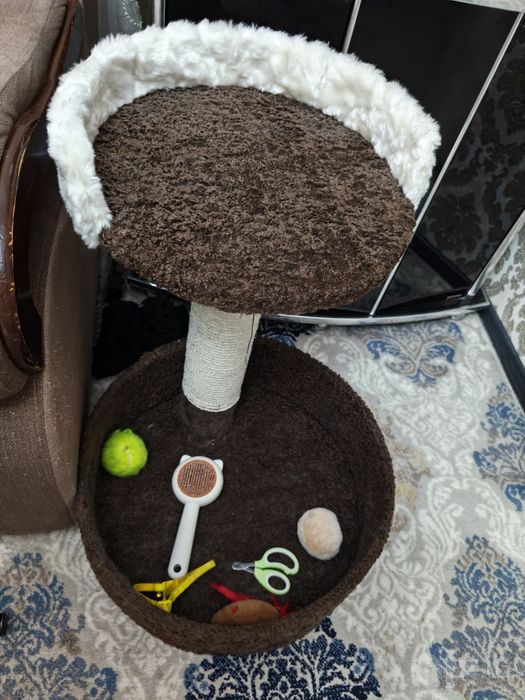 Kogtetochka, kum gilam