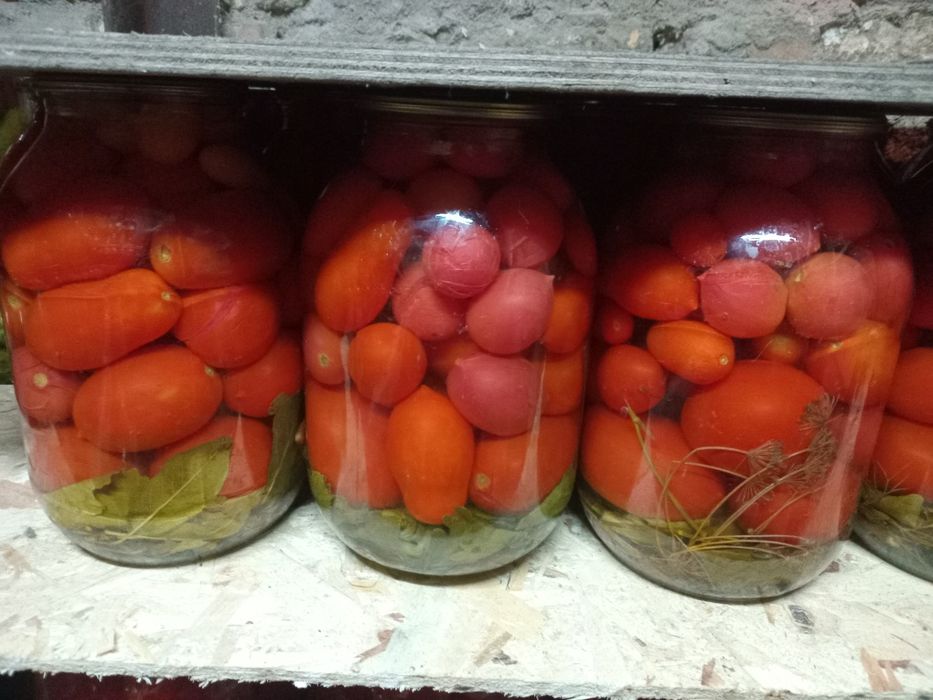 Помидоры домашние маринованые